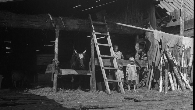 Жизнь рабочих Катав-Ивановска  в 1953 г